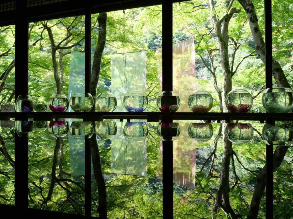 Quiet tea house experience in Yusai-tei surrounded by bamboo and maple trees