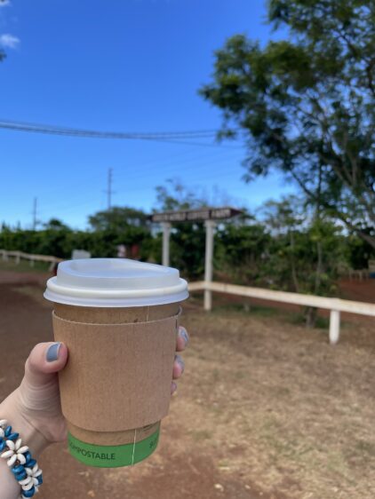 グリーンワールド・コーヒーファームで提供される自家焙煎コーヒー。香ばしい香りが漂う人気ドリンク。