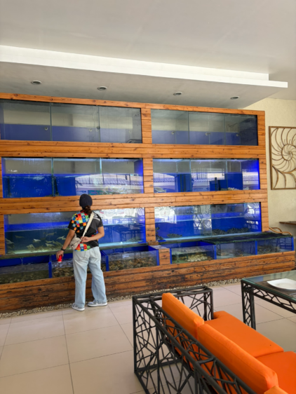 Oyster Bay店内の新鮮な魚介類が入った大きな水槽