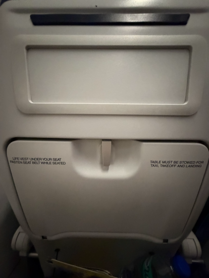 セブパシフィック航空A321neoの座席背面、シンプルなグレーのデザイン