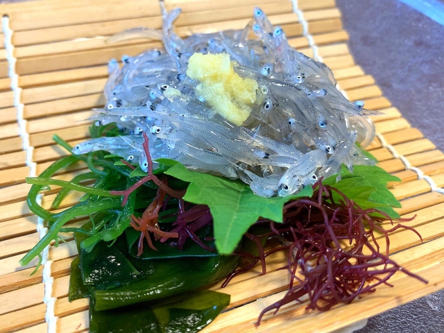 巻きすの上に大葉と海藻が敷かれ、その上に美しく盛られた透明な生しらすとおろし生姜のアップ。